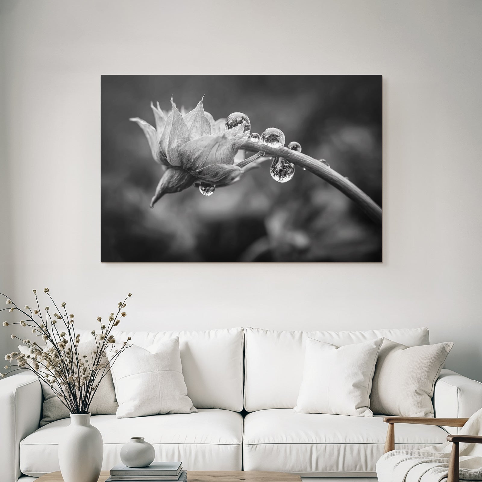 Blumenknospe Mit Tautropfen