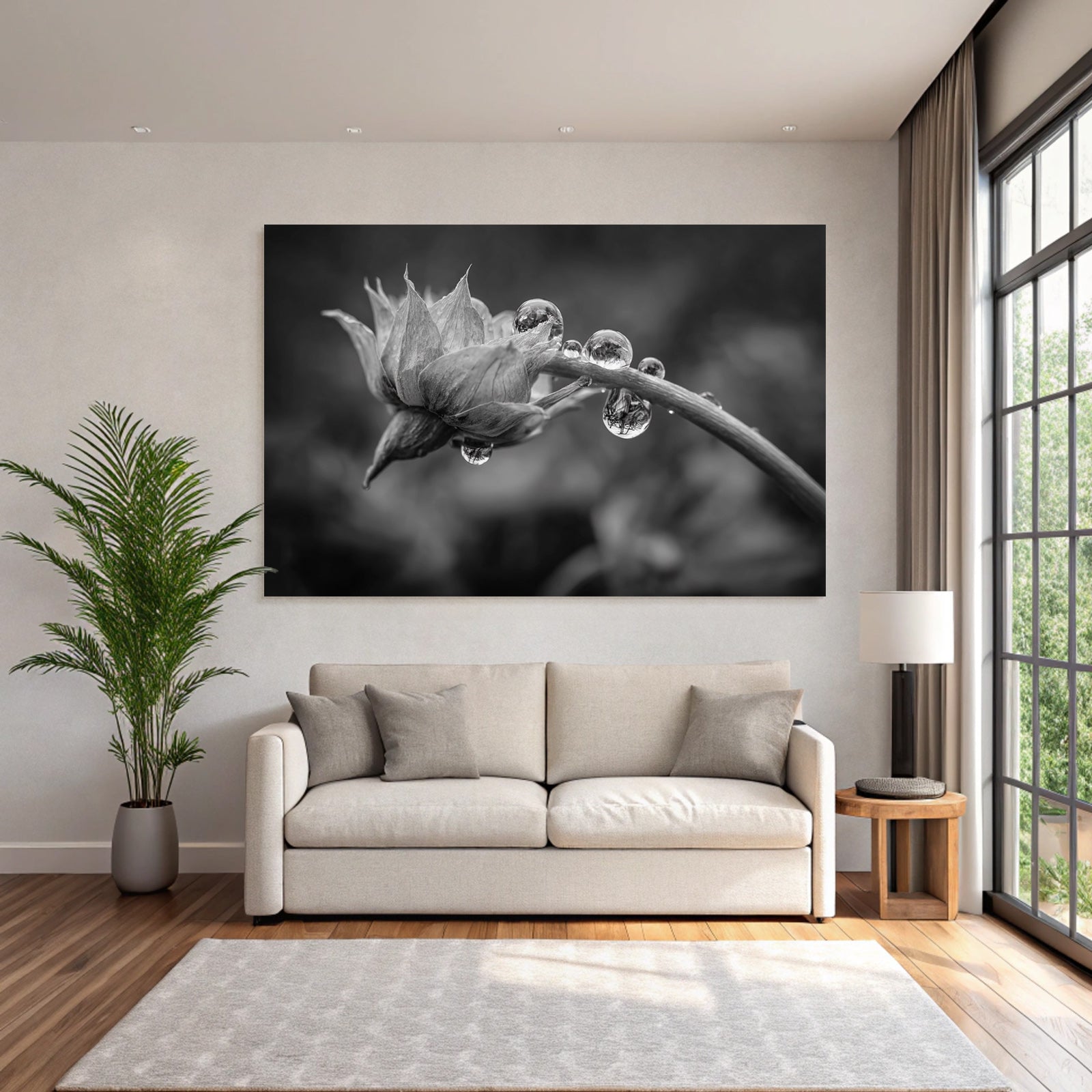 Blumenknospe Mit Tautropfen