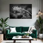 Blumenknospe Mit Tautropfen