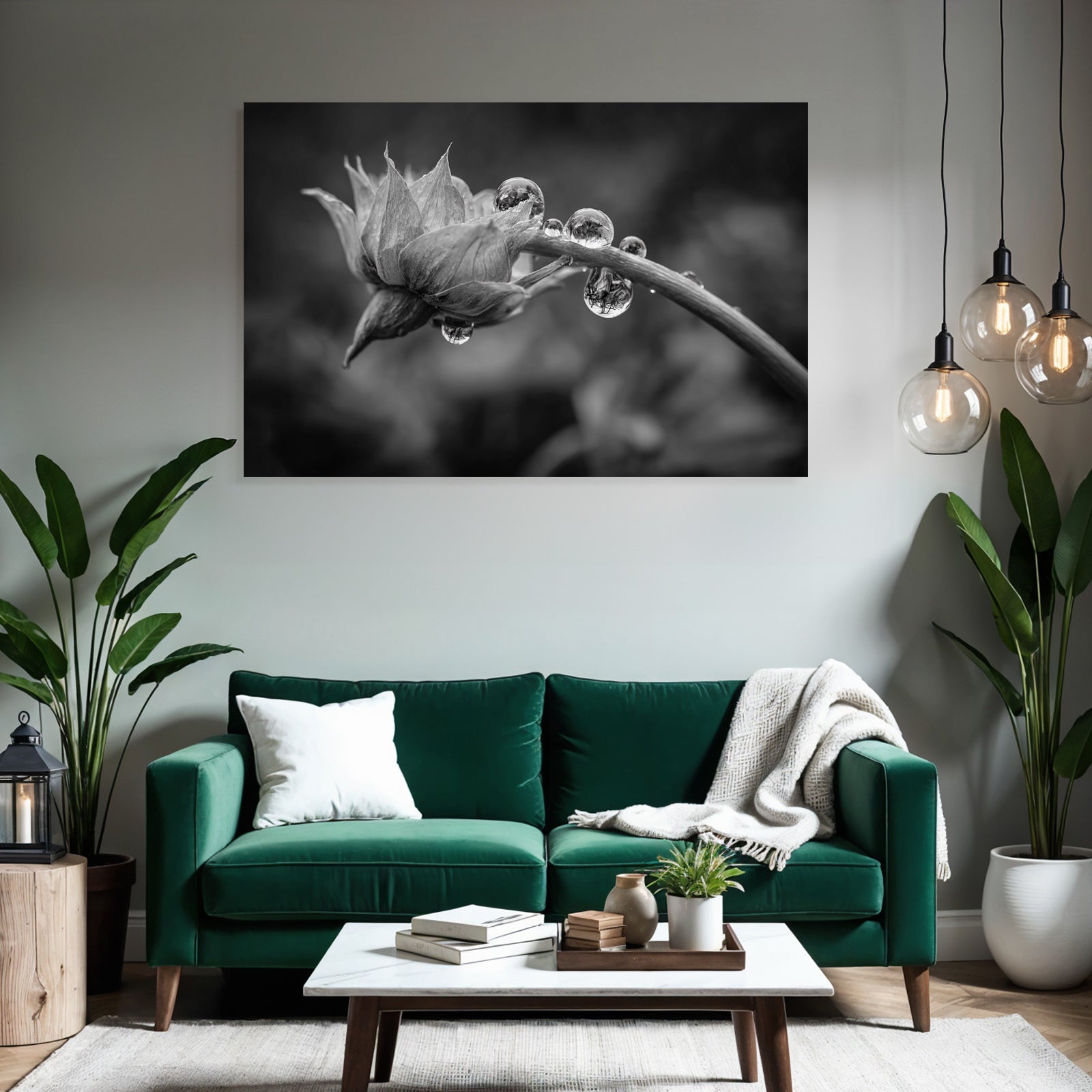 Blumenknospe Mit Tautropfen