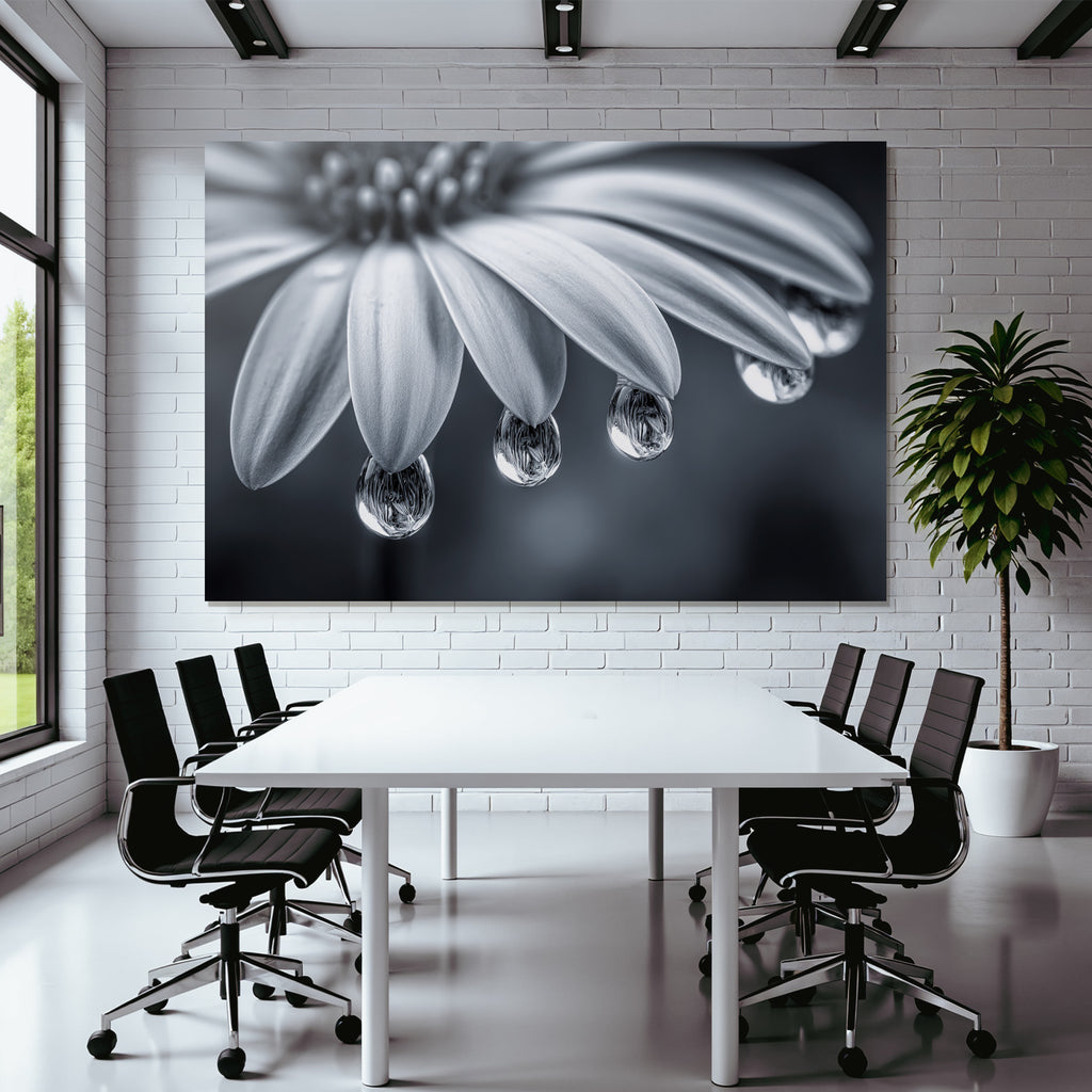 Nahaufnahme Blume Mit Tautropfen