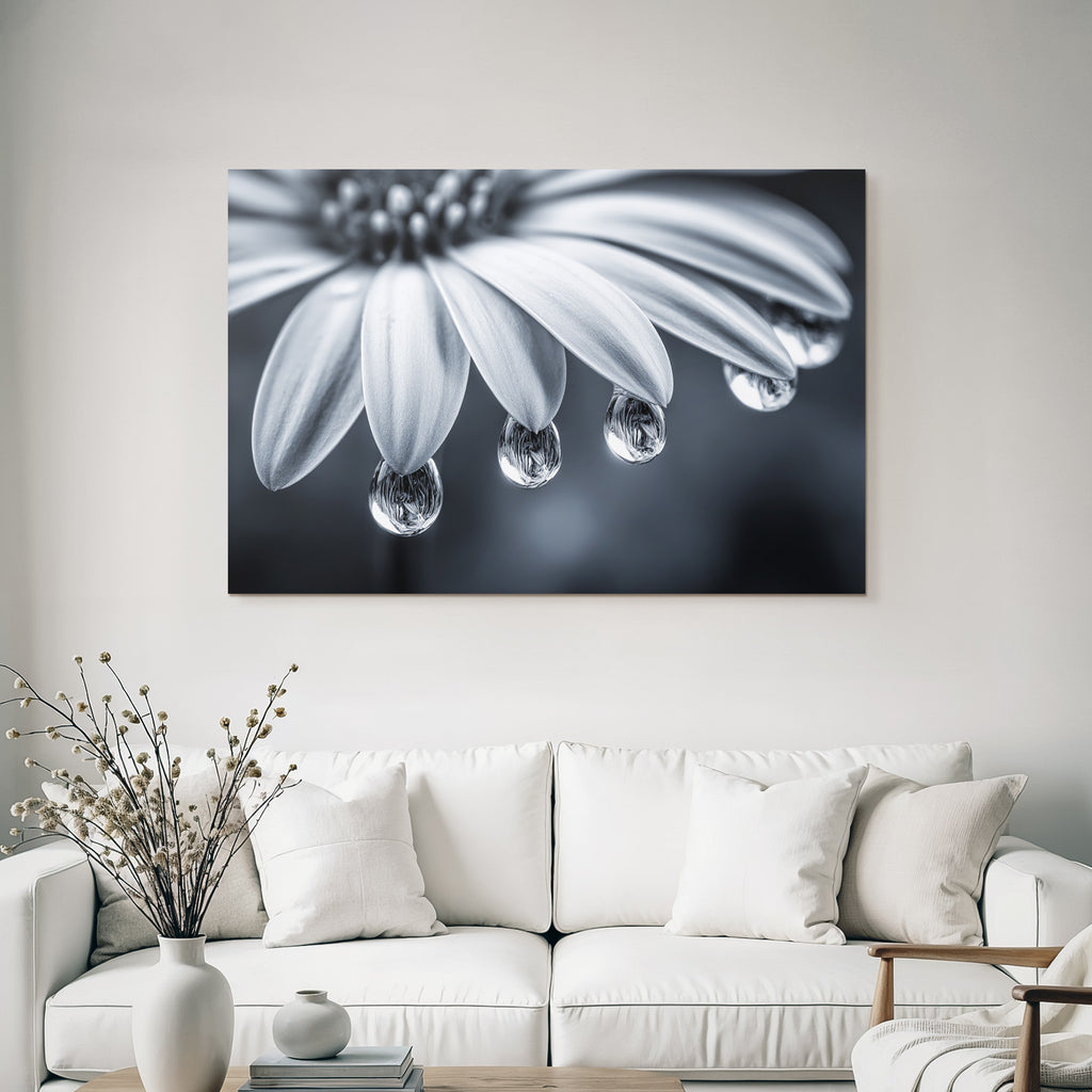 Nahaufnahme Blume Mit Tautropfen