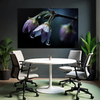 Zarte Blumen Mit Wassertropfen Auf Dunklem Hintergrund