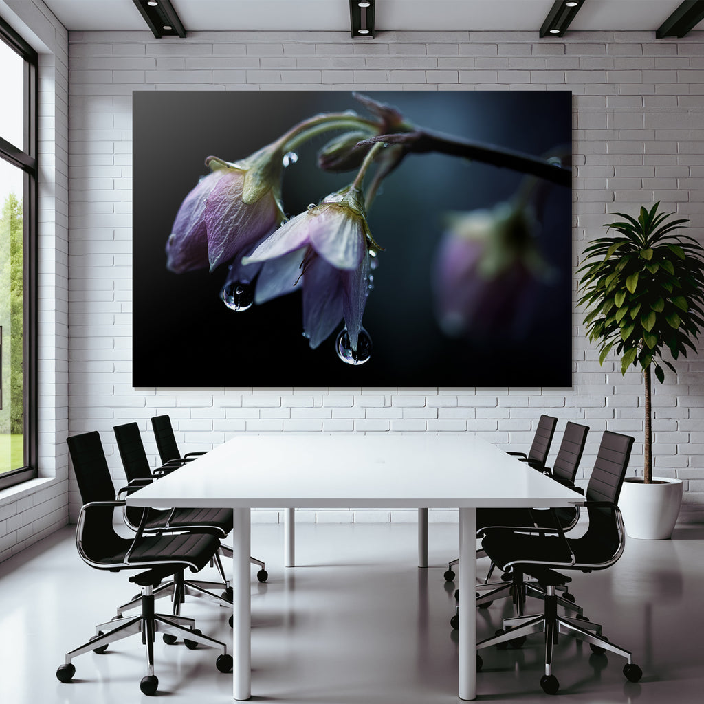 Zarte Blumen Mit Wassertropfen Auf Dunklem Hintergrund