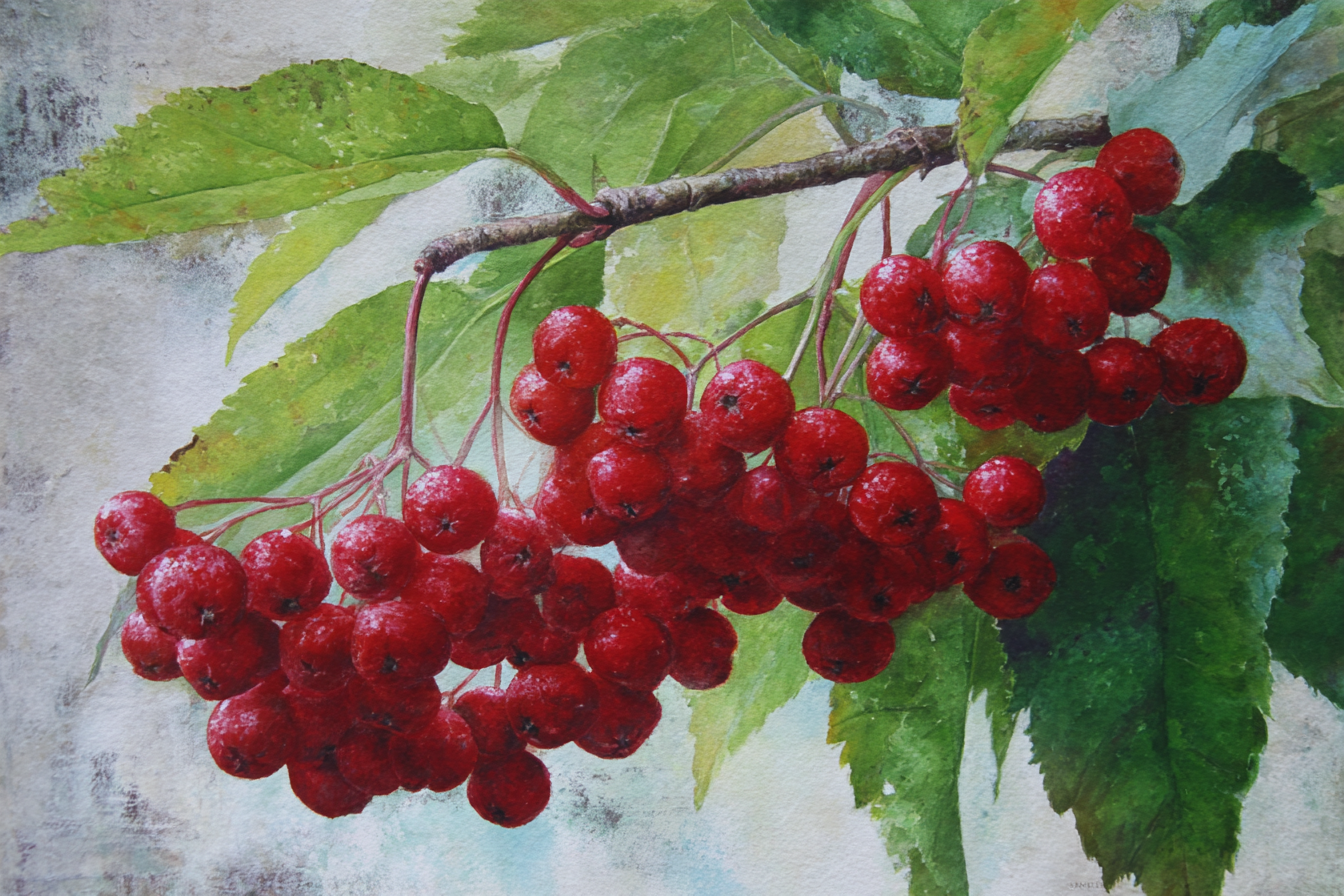 Aquarell Rote Beeren Und Grüne Blätter | Expressionismus | Stilrichtungen