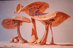 Fantastisch Surreal Surreale Pilzwelt Mit Schnecke | Fantastisch und Surreal | Stilrichtungen