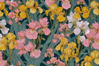 Buntes Blumenmuster Mit Schwertlilien In Rosa Gelb Und Weiss Auf Dunkelgrüne Hintergrund | Jugendstil | Stilrichtungen