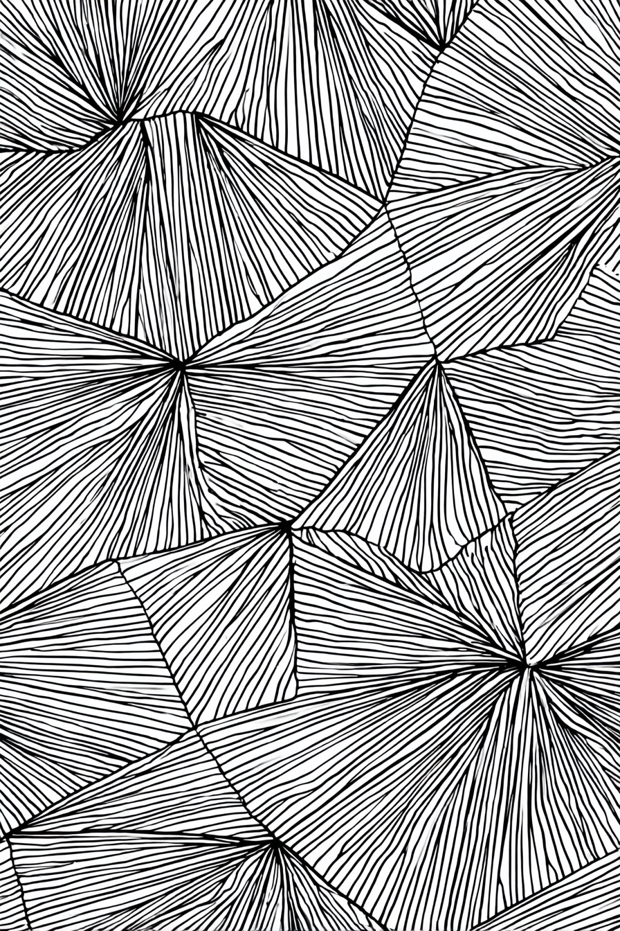 Abstraktes Schwarz Weiss Muster Mit Linien Und Falten | Minimalistisch | Stilrichtungen