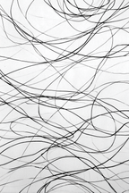 Dynamische Abstrakte Linienzeichnung | Minimalistisch | Stilrichtungen