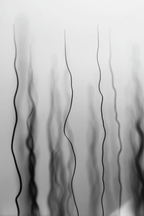 Monochrome Abstrakte Wellenlinien Mit Unscharfem Hintergrund | Minimalistisch | Stilrichtungen
