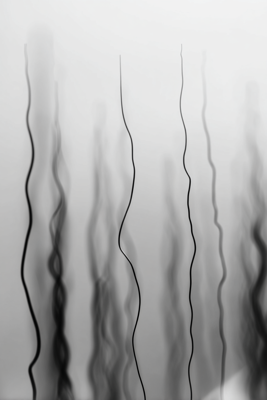 Monochrome Abstrakte Wellenlinien Mit Unscharfem Hintergrund | Minimalistisch | Stilrichtungen