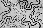 Abstrakte Geschwungene Linien Auf Hellen Hintergrund | Minimalistisch | Stilrichtungen