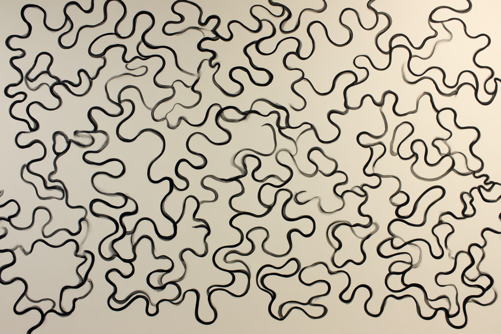 Abstrakte Wellenlinien Kunstwerk | Minimalistisch | Stilrichtungen