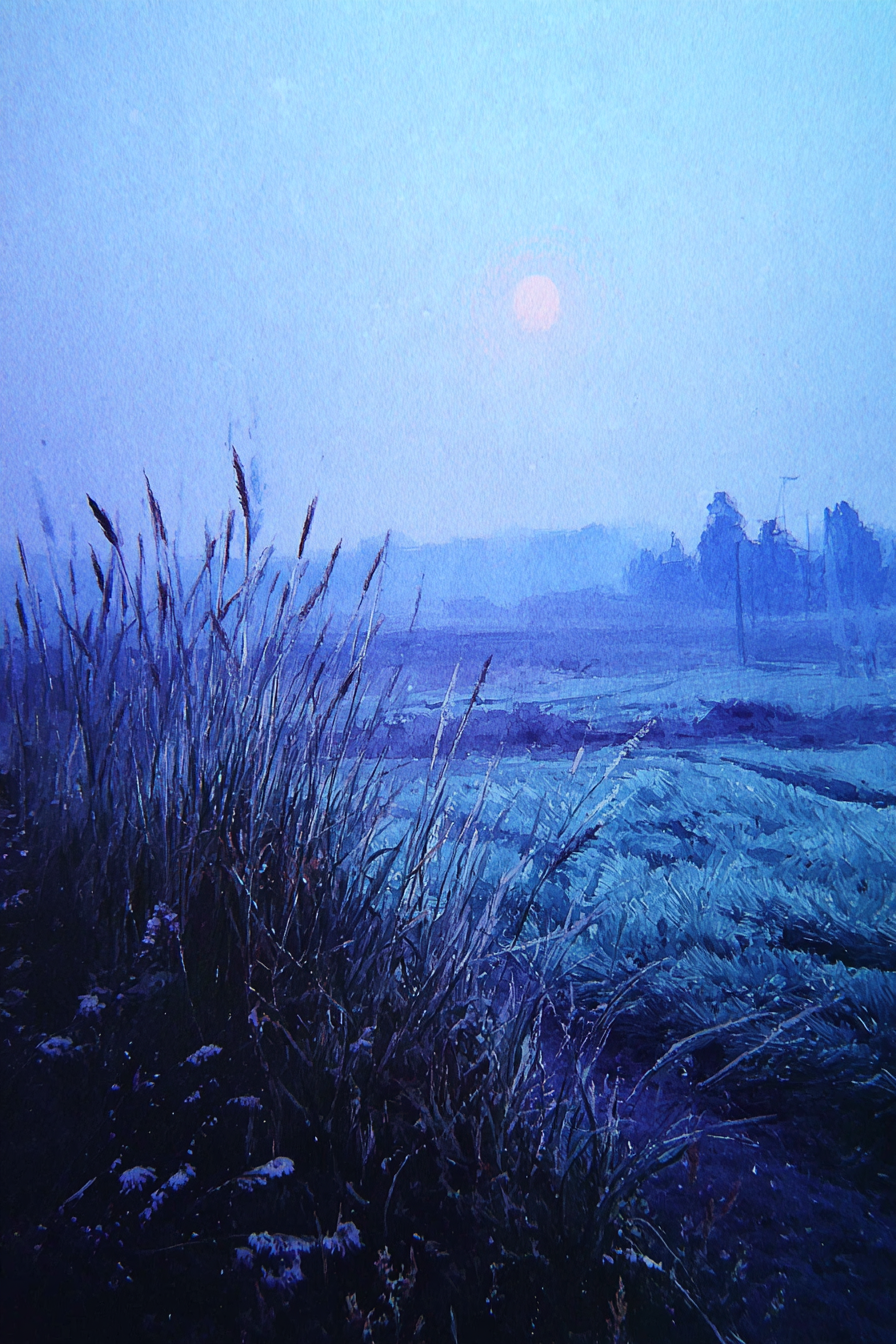 Morgendliche Nebelstimmung Im Gras | Psychedelische Kunst | Stilrichtungen