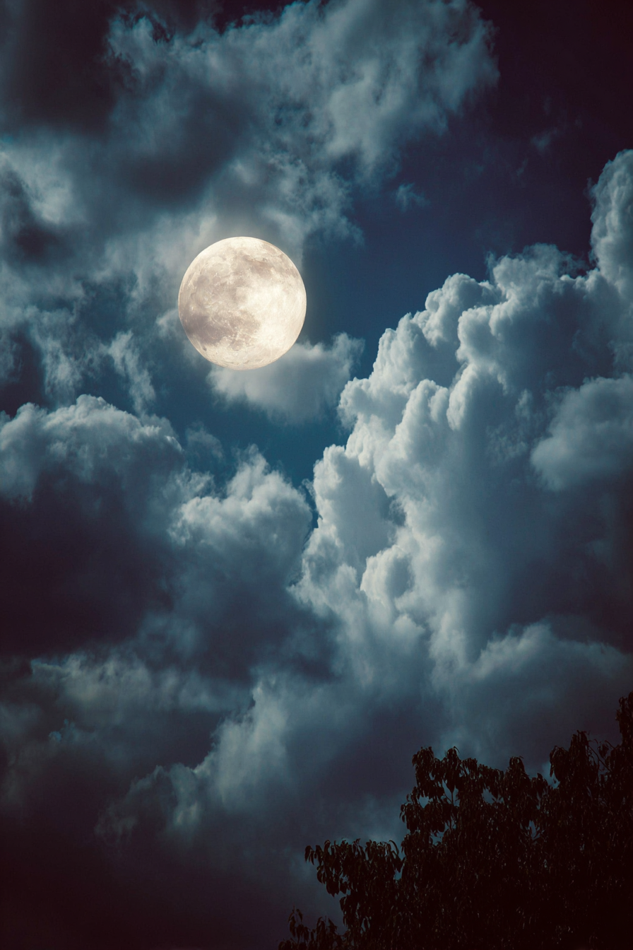 Nächtlicher Himmel Mit Leuchtendem Mond Und Bewölkten Baeumen | Psychedelische Kunst | Stilrichtungen