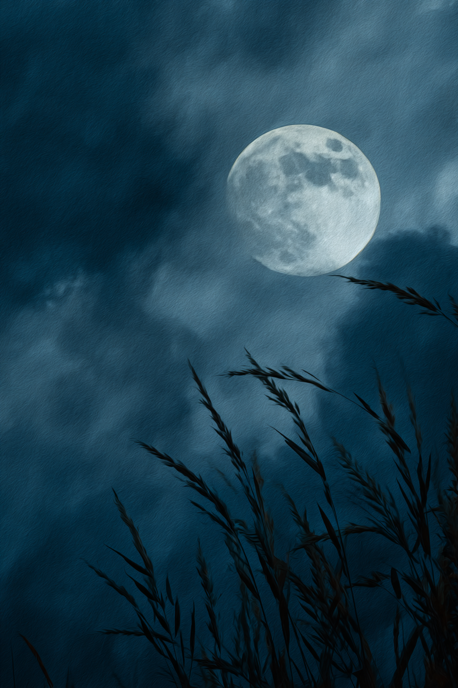 Vollmond Über Schilfrohr Silhoütten Im Wolkigen Nachthimmel | Psychedelische Kunst | Stilrichtungen