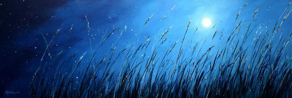 Nächtliche Graslandschaft Mit Vollmond Und Ruhigem Himmel | Psychedelische Kunst | Stilrichtungen