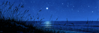 Ruhige Nachtszene Am Meer Mit Mondlicht Reflexion | Psychedelische Kunst | Stilrichtungen