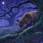 Fuchs Im Mystischen Nachtwald Im Mondlicht | Psychedelische Kunst | Stilrichtungen
