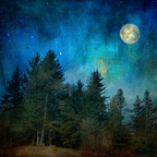 Traumhafte Nachtlandschaft Mit Vollmond Und Baumsilhoütten | Psychedelische Kunst | Stilrichtungen