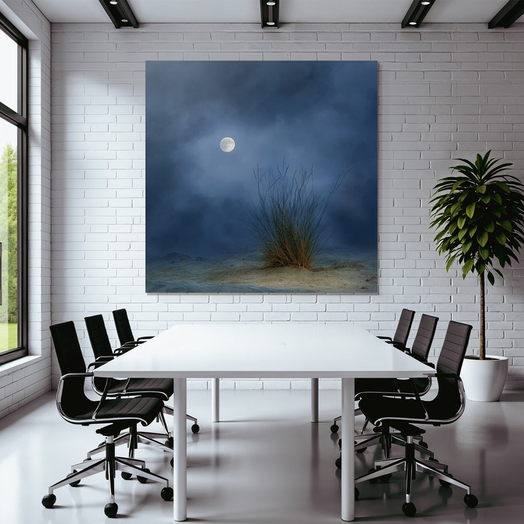 Vollmondnacht Mit Bewölktem Himmel Sandigem Boden Und Gras