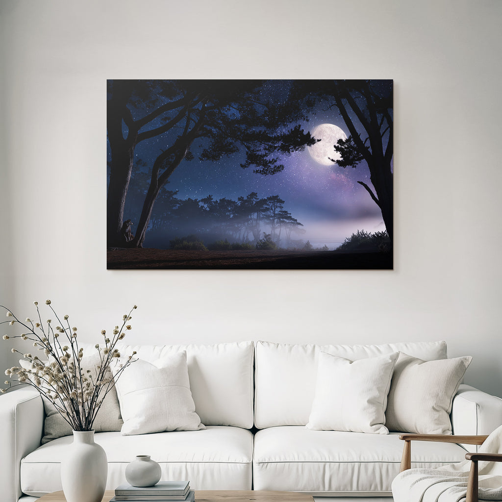 Nachtliche Landschaft Mit Vollmond Und Baumsilhoütten Im Nebel
