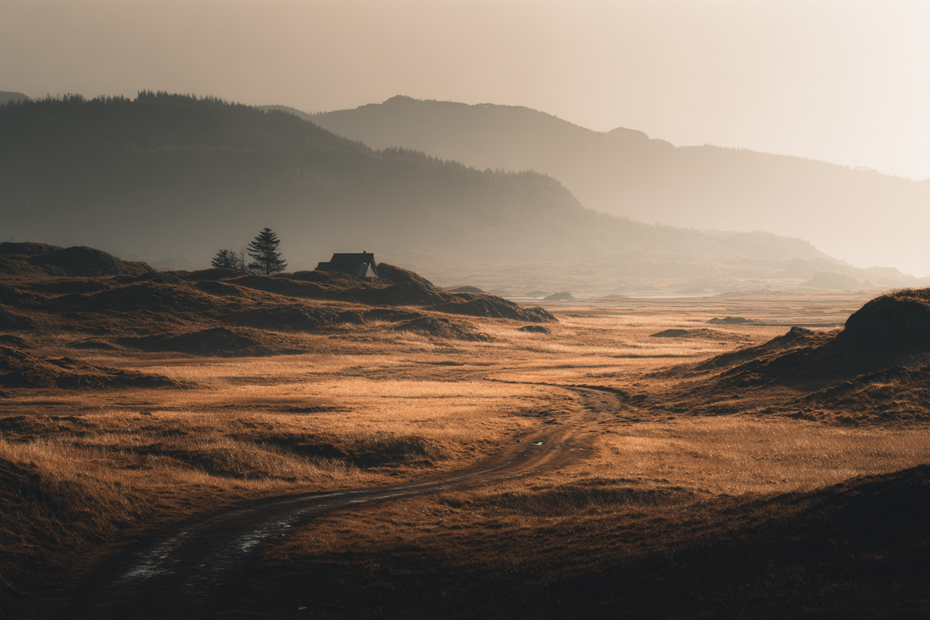 Ruhige Landschaft Mit Weg Und Haus In Goldenen Wiesen | Reisen und Outdoor | Themen und Hobbys
