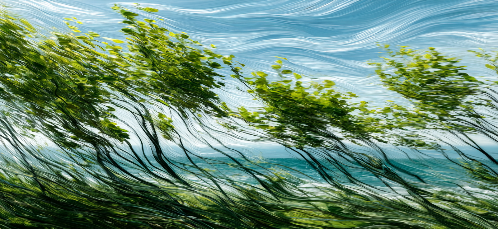 Baeume Schwingen Im Wind Vor Wasser Und Blaüm Himmel | Sport und Bewegung | Themen und Hobbys