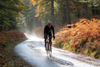 Fahrer Auf Regennasser Strasse Durch Den Wald Im Herbst | Sport und Bewegung | Themen und Hobbys