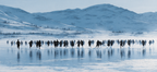 Schneelandschaft Laeufer Mountains Bewegung Atmosphäre | Sport und Bewegung | Themen und Hobbys