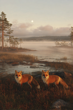 Friedliche Landschaft Mit Füchsen Und Wasser Im Hintergrund | Fuechse | Tiere