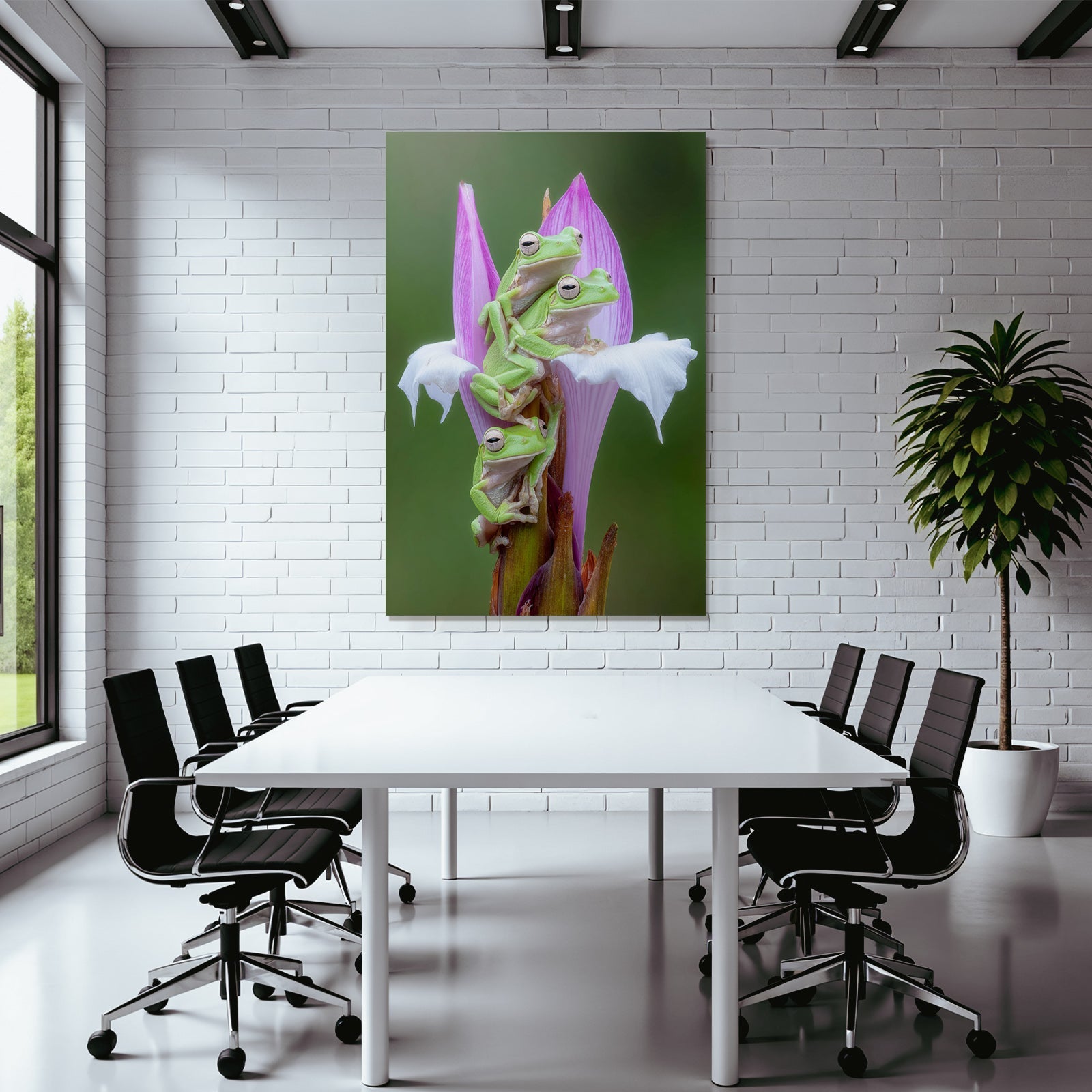 Drei Grüne Frösche Auf Bunter Blume
