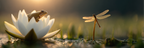 Frosch Auf Weisser Lotusblume Mit Drachenfliege | Insekten und Amphibien | Tiere
