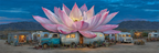 Grossrosa Lotus Vintage Trailer Desertlandschaft Mit Bergen Im Dämmerlicht | Insekten und Amphibien | Tiere