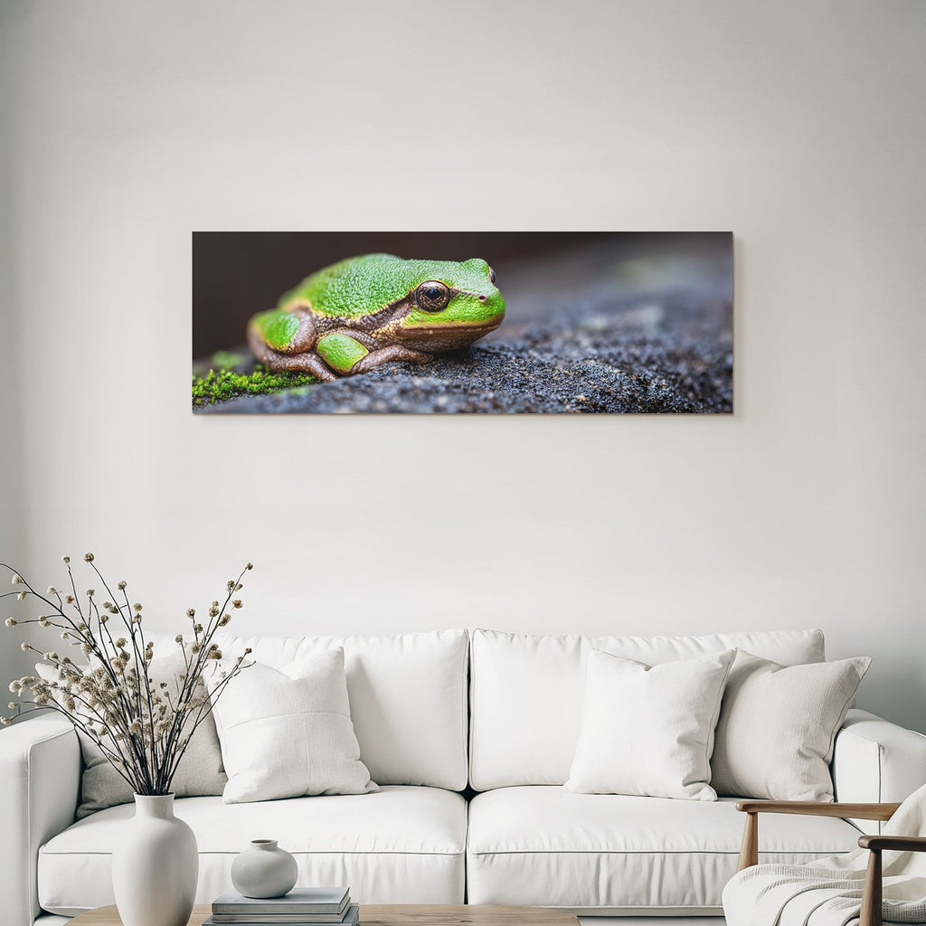 Grüner Frosch Naheaufnahme Texturierte Oberfläche