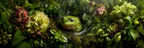 Gruner Frosch In Wasserreicher Naturlandschaft Mit Bunten Blumen | Insekten und Amphibien | Tiere