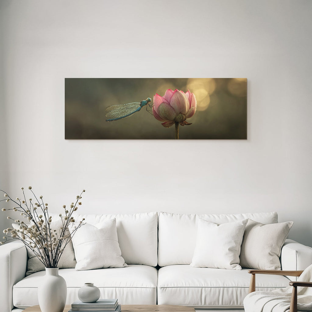 Libelle Auf Lotusblume Mit Tropfen Und Licht