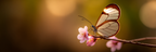 Schmetterling Auf Einem Ast Mit Rosafarbenen Blumen | Insekten und Amphibien | Tiere