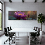 Water lily Violet petals Golden stamens Bee