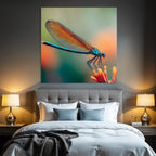 Detailaufnahme Von Einer Libelle Auf Einer Blume