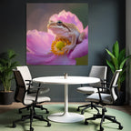 Frosch Auf Rosa Blume Mit Gelbzentrum Und Orangepollen