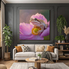 Frosch Auf Rosa Blume Mit Gelbzentrum Und Orangepollen