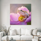 Frosch Auf Rosa Blume Mit Gelbzentrum Und Orangepollen