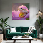 Frosch Auf Rosa Blume Mit Gelbzentrum Und Orangepollen