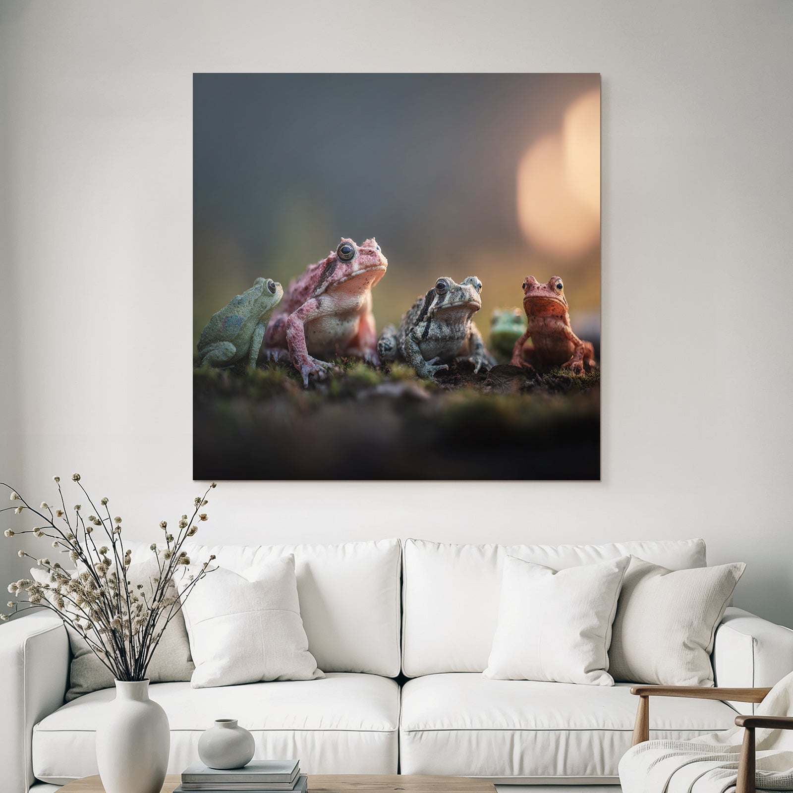Froschgruppe Farbenvielfalt Im Naturraum