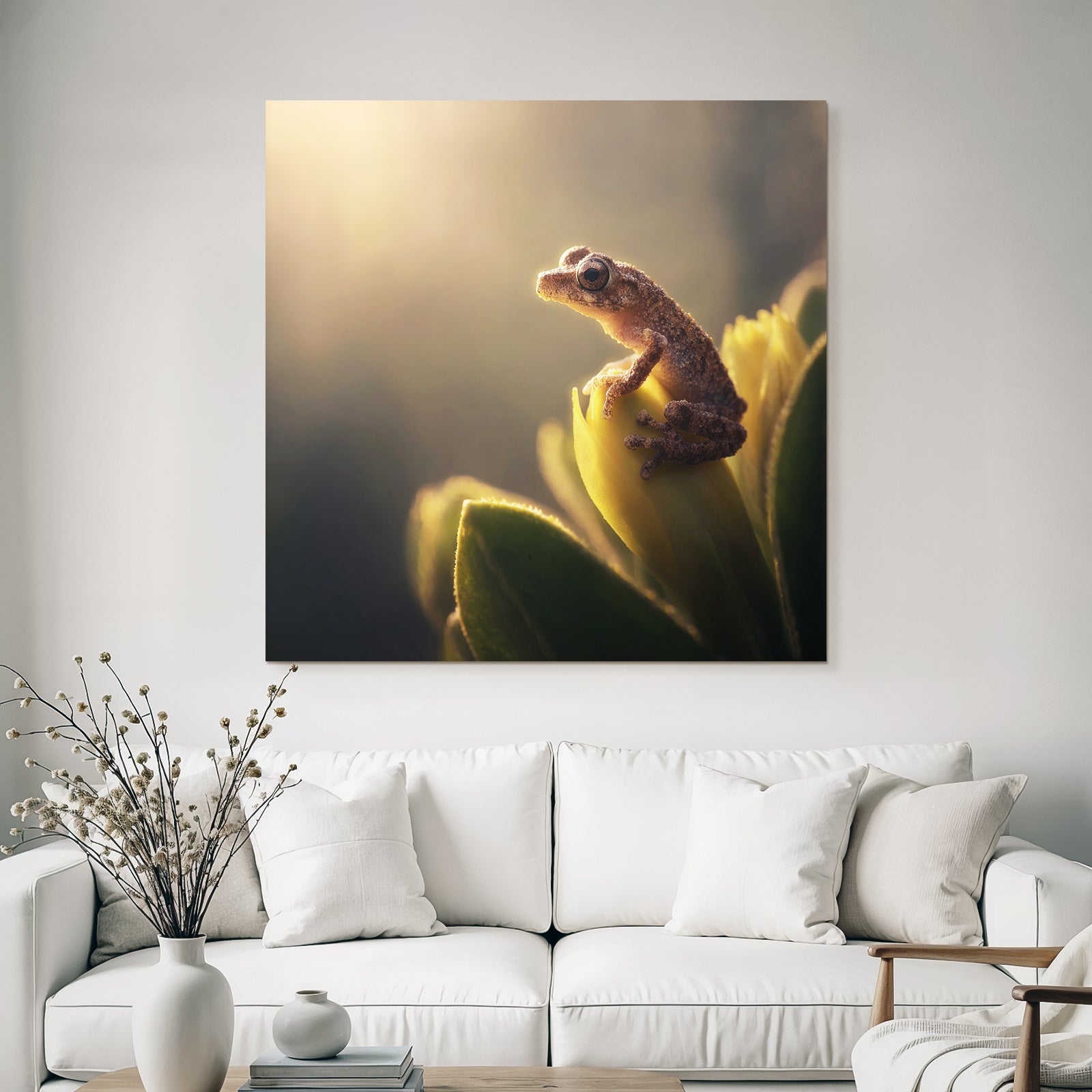 Kleiner Frosch Auf Blatt