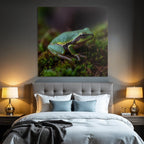 Nahaufnahme Eines Frosches Auf Moos