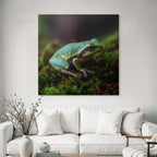 Nahaufnahme Eines Frosches Auf Moos