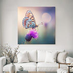 Schmetterling Auf Lila Blume