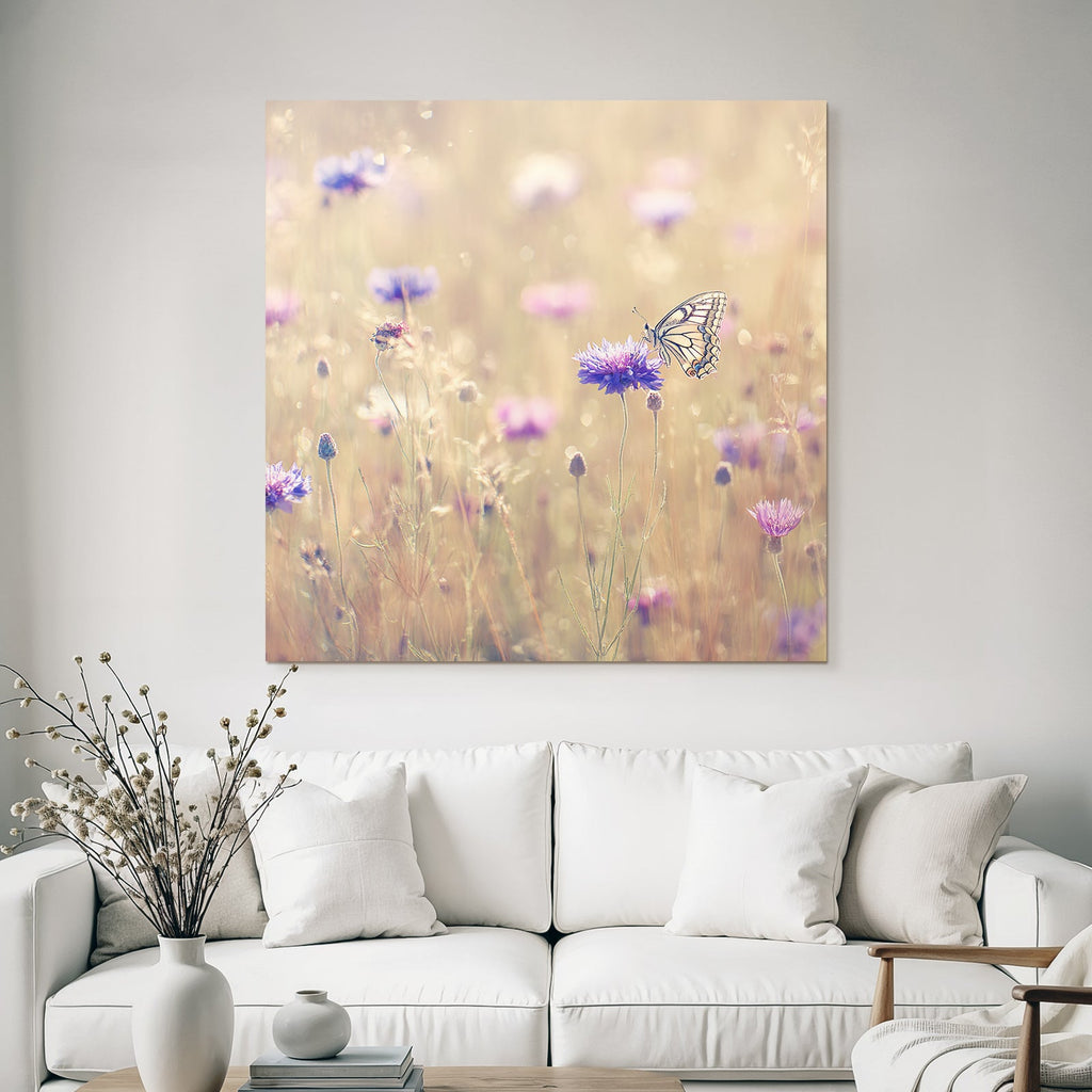 Schmetterling Auf Lila Blume In Sanfter Traumwiese